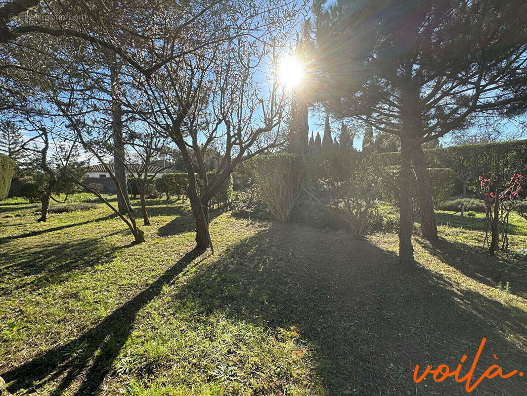 Terrain à CARCASSONNE