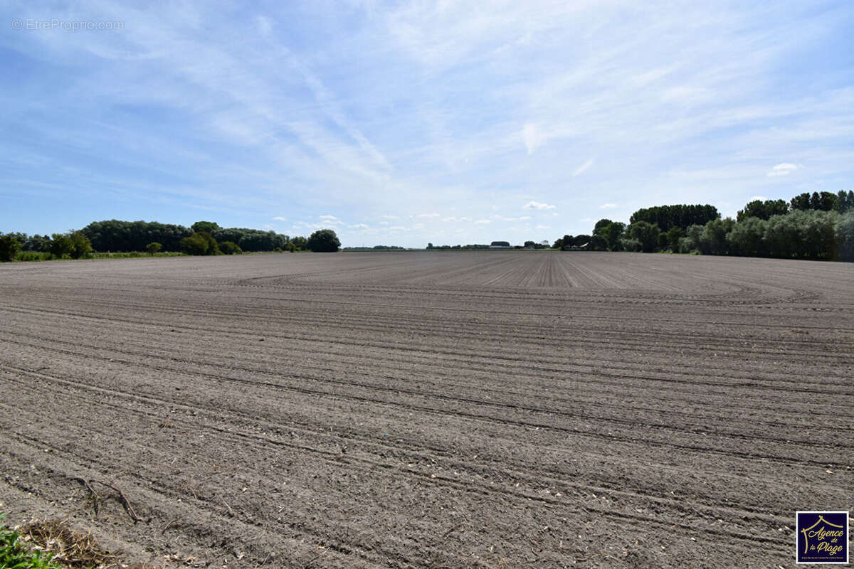 Terrain de loisirs 180m2 Coulogne - photo 3