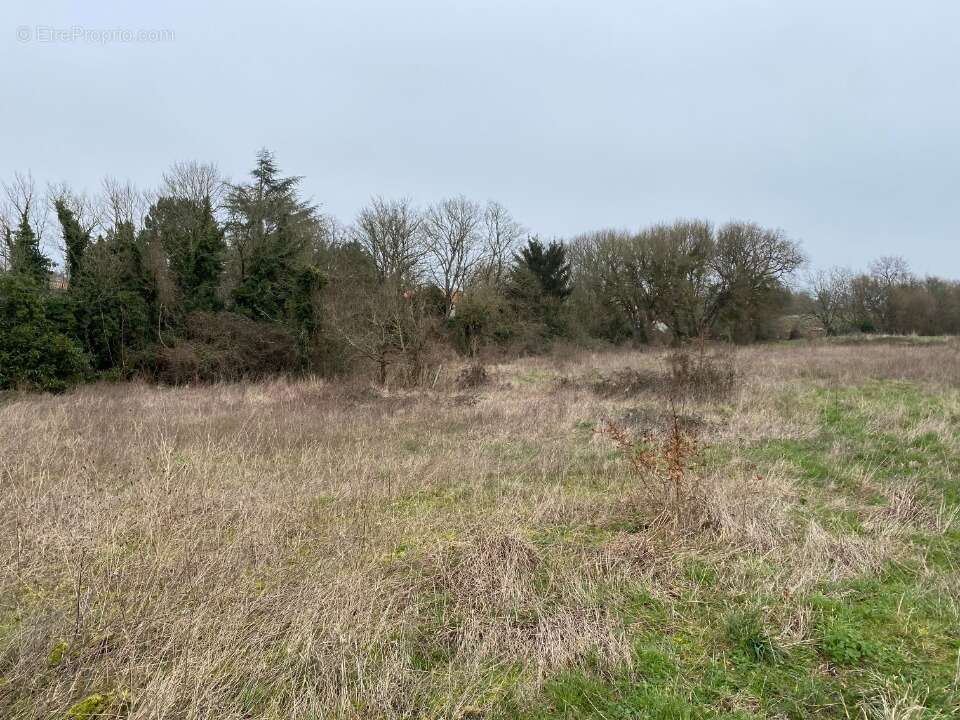 Terrain 404 m² à Pont-L'abbe-D'arnoult  - photo 2
