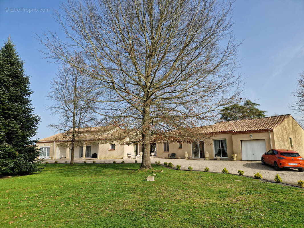Maison à SAINTE-LIVRADE-SUR-LOT