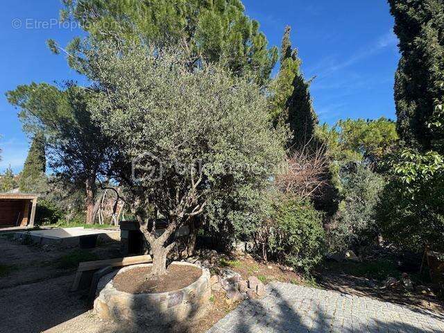 Maison à TOURRETTES