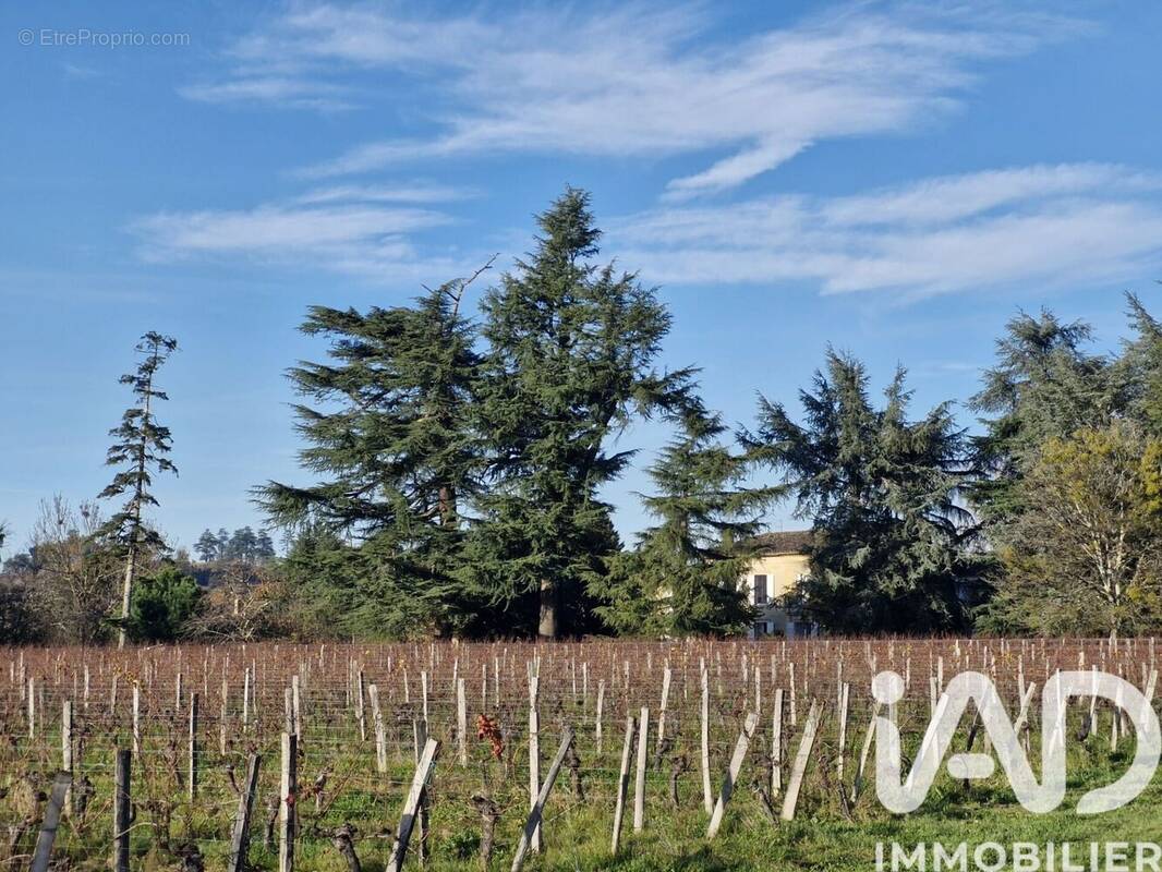 Photo 1 - Maison à SAINT-MAGNE-DE-CASTILLON