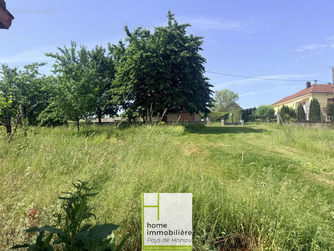 Maison à ZINSWILLER