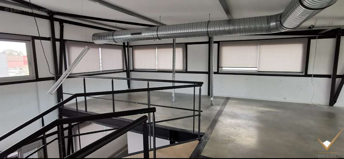 Commerce à COLOMIERS