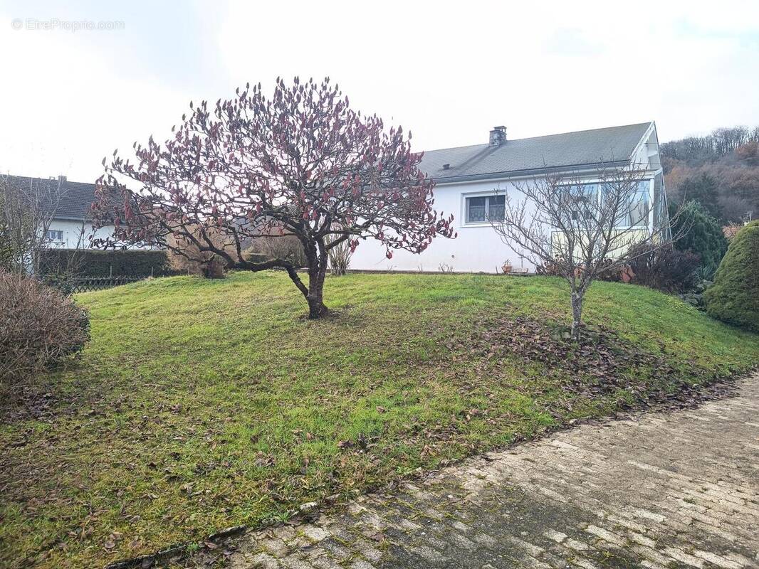 Photo 1 - Maison à MATHAY