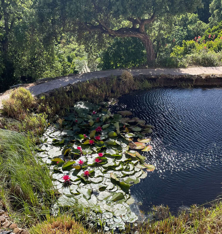 Maison à LA LONDE-LES-MAURES