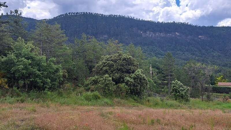 Terrain à LE BRUSQUET