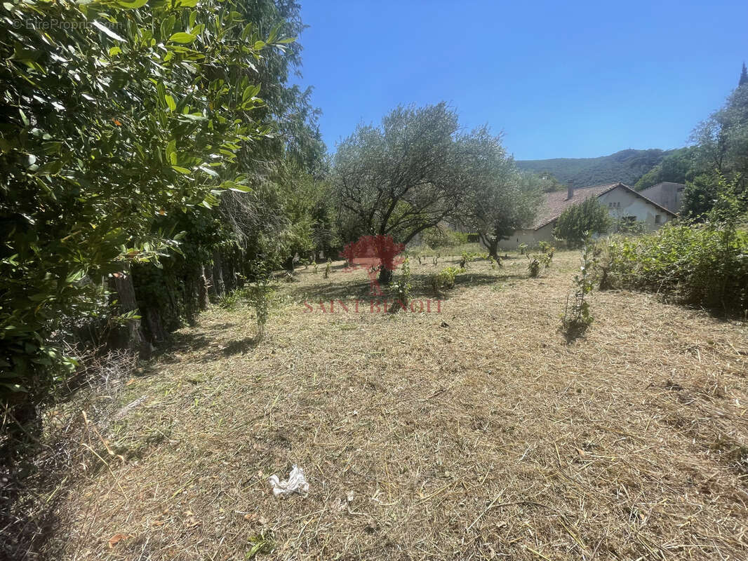 Terrain à LODEVE