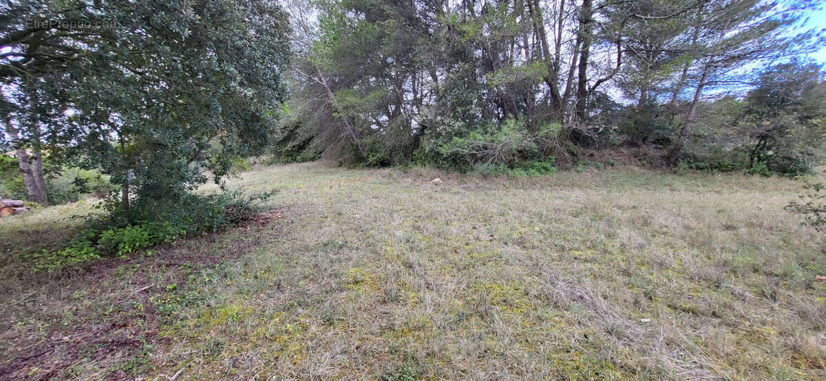 Terrain à CARCASSONNE