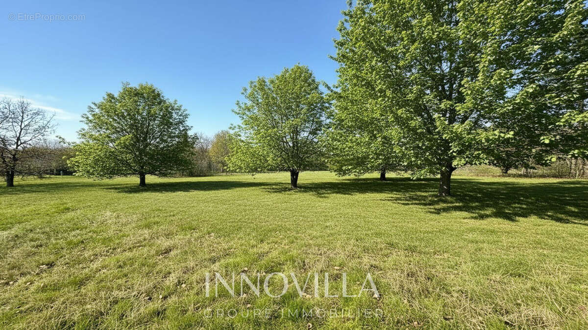 Terrain à MONTBERON