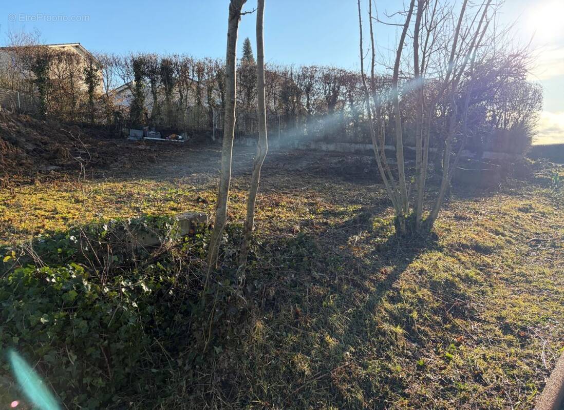 Terrain à CHAZAY-D'AZERGUES