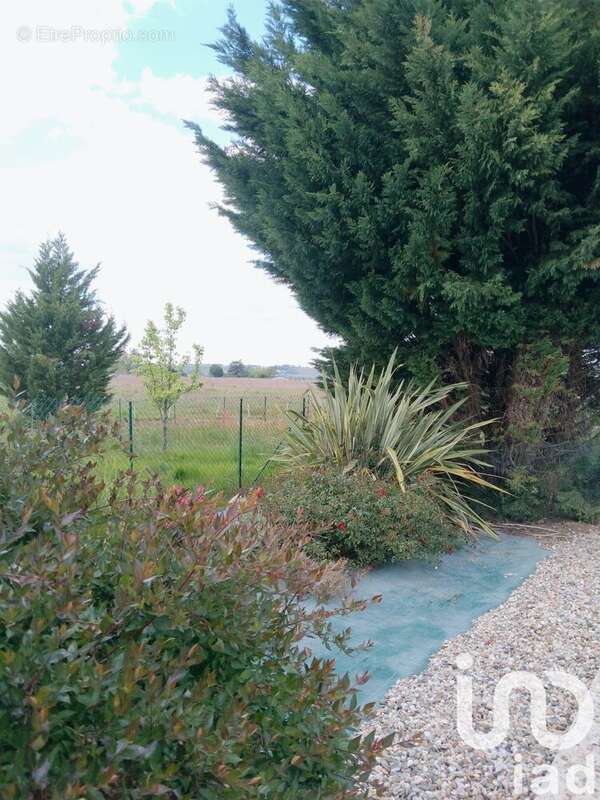 Photo 6 - Maison à SAINT-PIERRE-DE-MONS