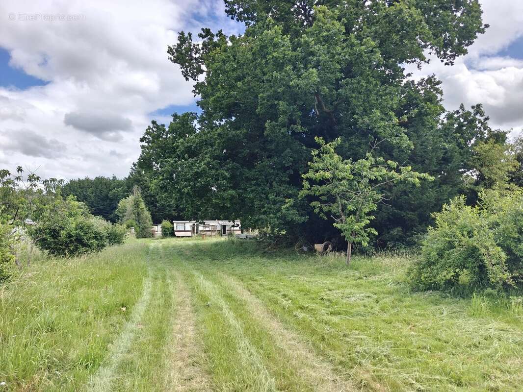 Terrain constructible BRIONNE - photo 2