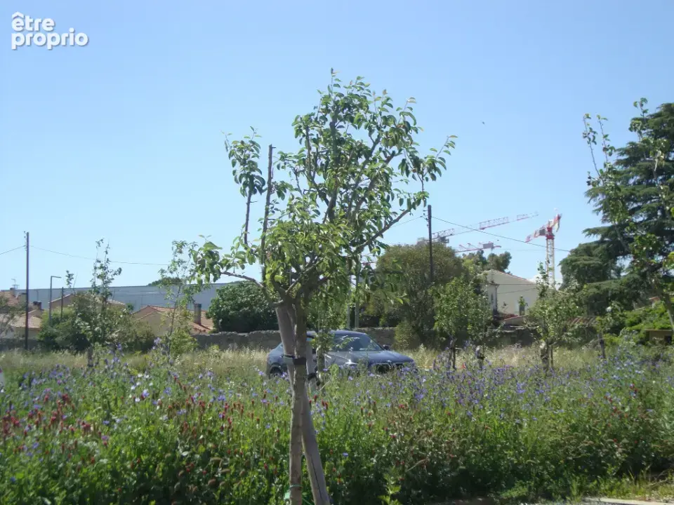 Terrain 255 m² à vendre à Hyeres (83400) - photo 2