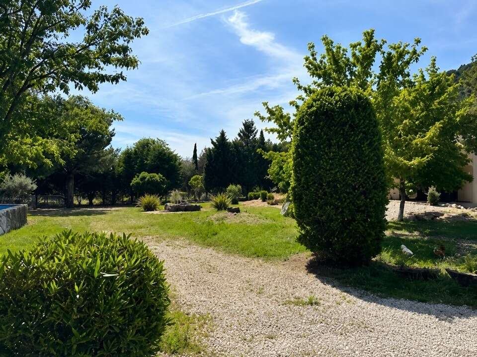 Terrain 1504 m² à Cuges-Les-Pins  - photo 3