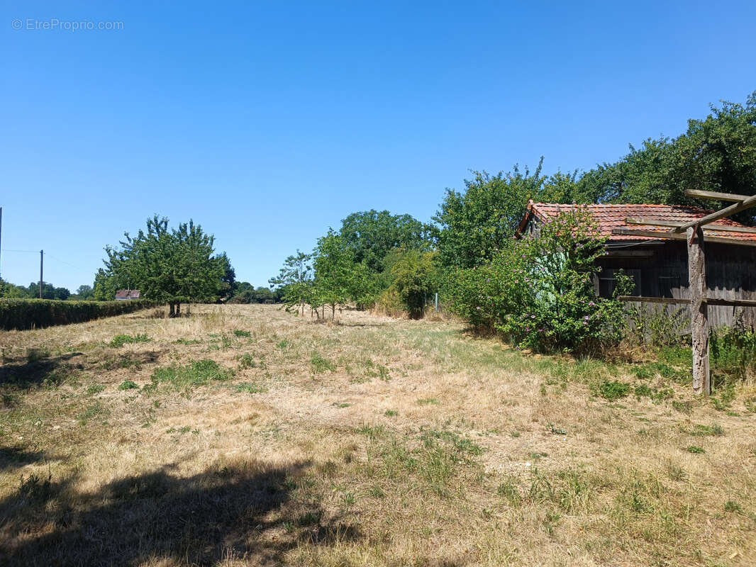 Maison à SANCERGUES