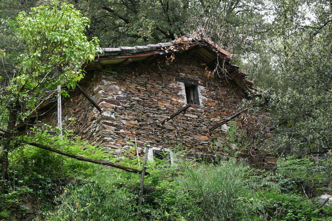 Maison à CHAMBORIGAUD