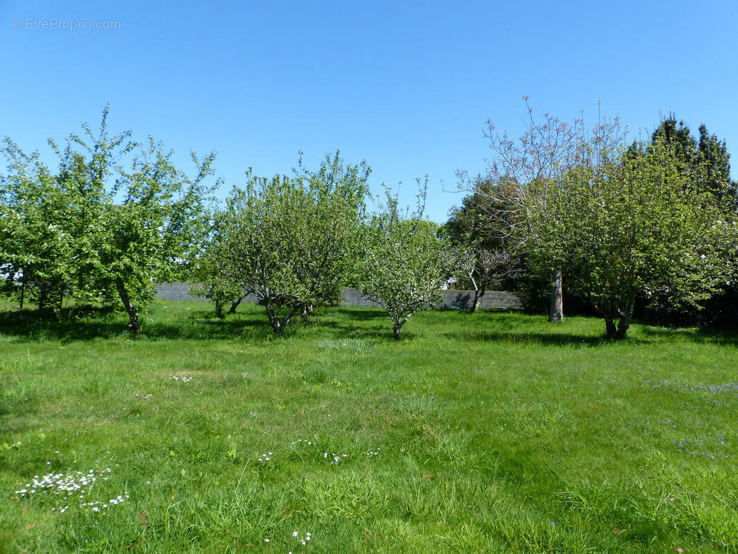 Terrain à FOUESNANT