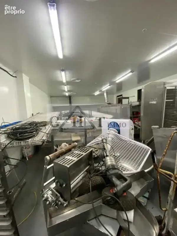 Local d'activite/laboratoire alimentaire 1000 m² a vendre crosne - photo 8