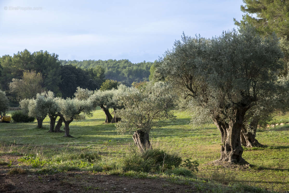 Maison à SANARY-SUR-MER