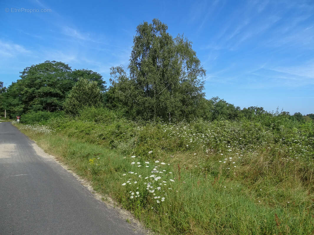 Terrain à SAINT-JULIEN-SUR-CHER