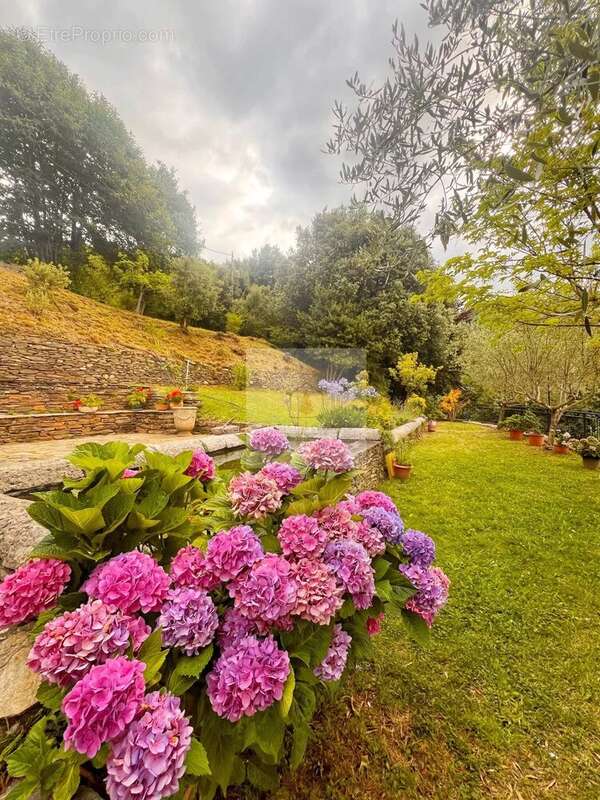 Maison à SAINT-MICHEL-DE-DEZE