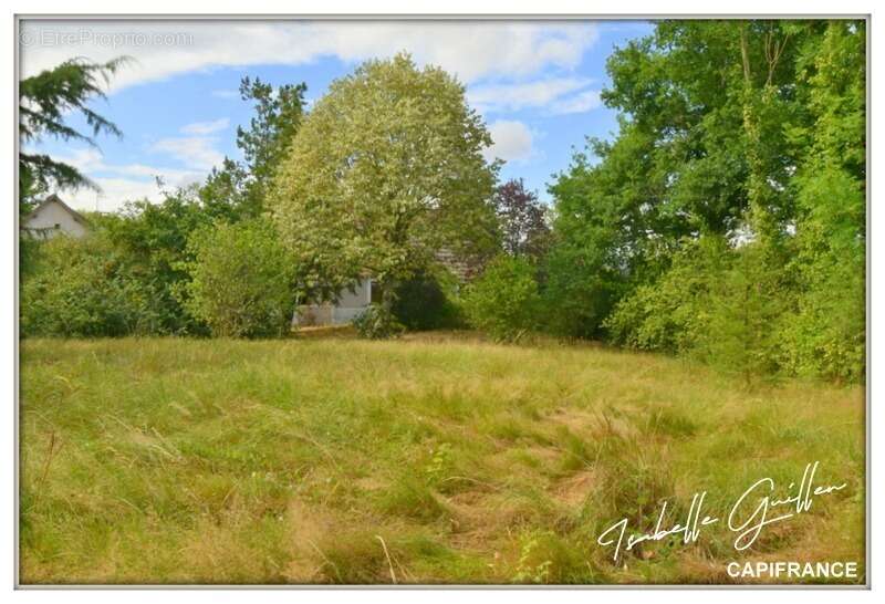 Propriété à vendre à Touchay : 2 maisons avec 4.5 hectares TOUCHAY (18) - photo 5