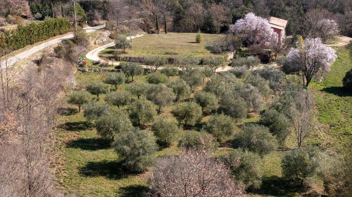 Photo 9 - Maison à SAINT-ANTONIN-DU-VAR