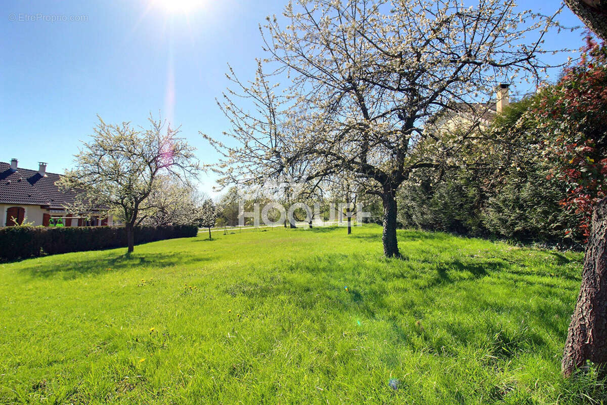 Terrain à LAY-SAINT-CHRISTOPHE