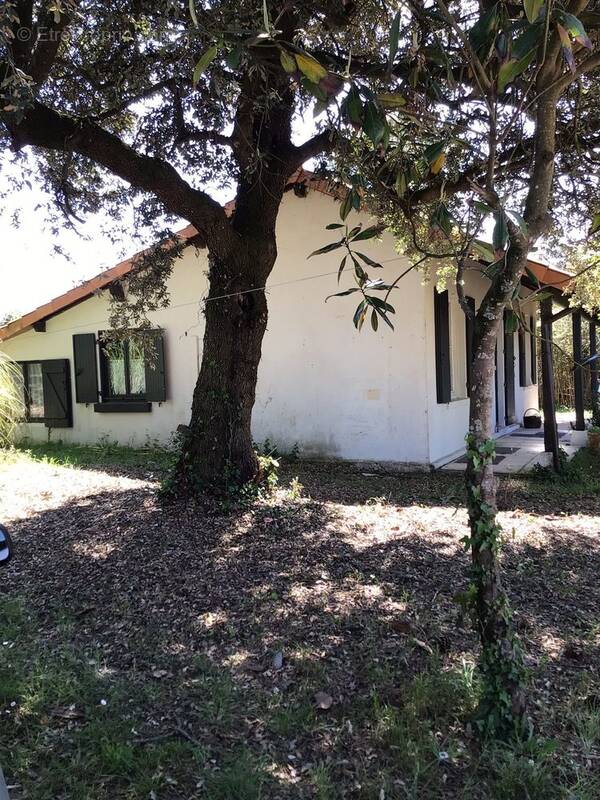 COTE OUEST - Maison à SOULAC-SUR-MER