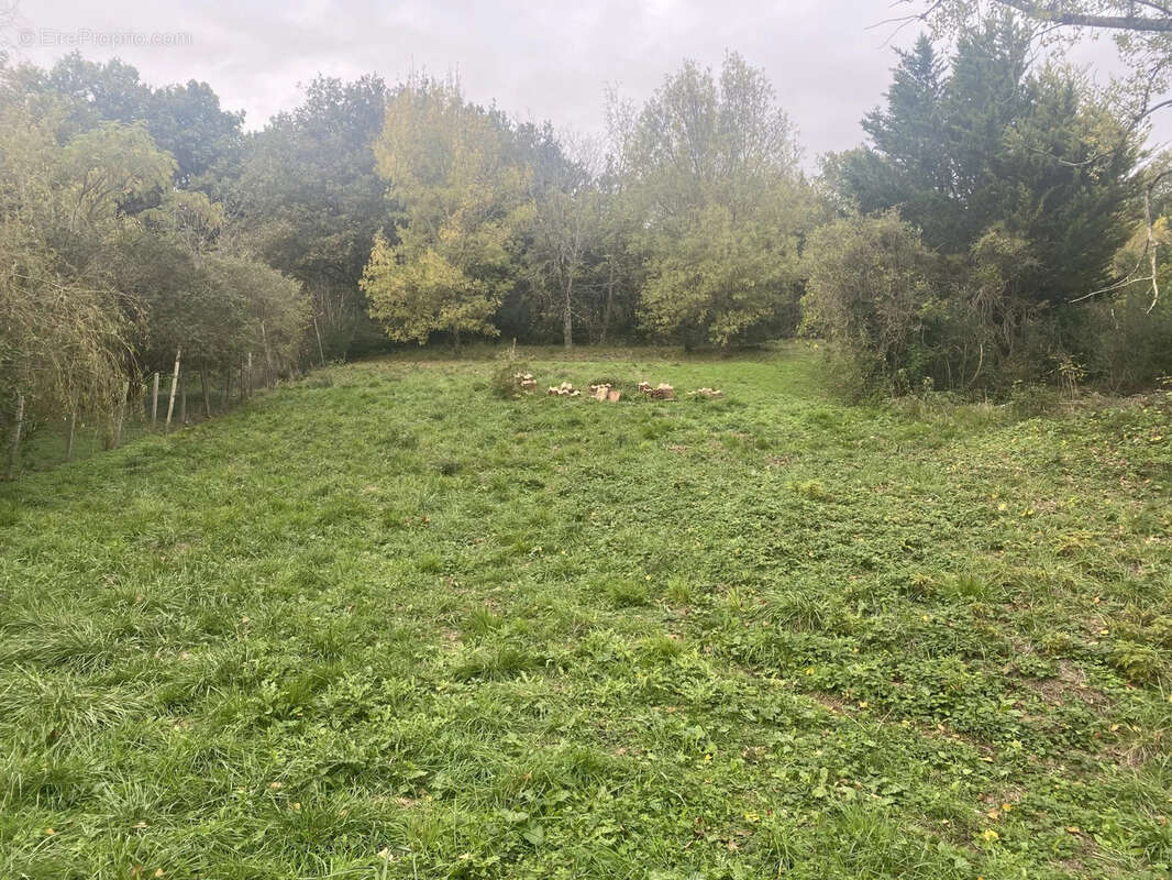 Terrain à VIVIERS-LES-MONTAGNES