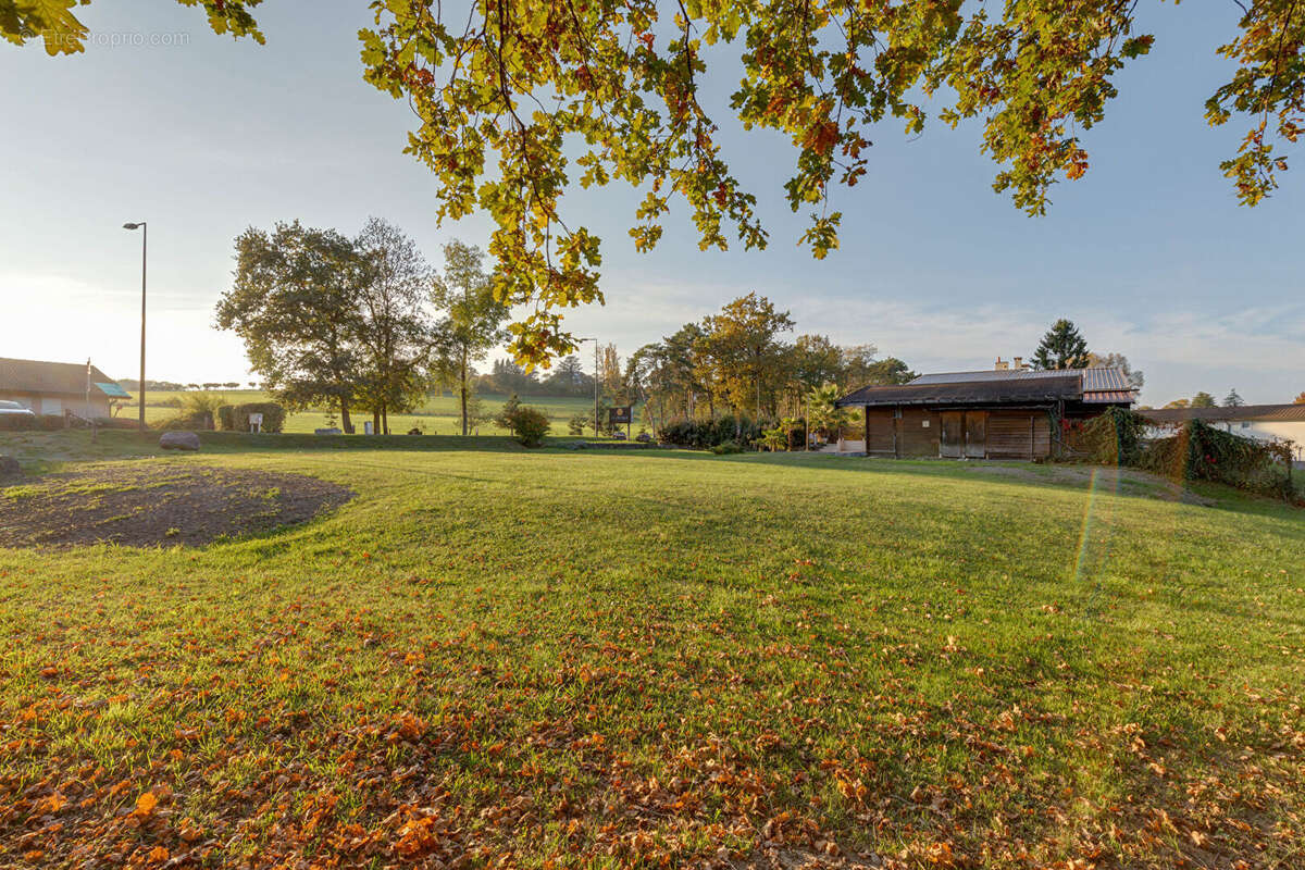 Terrain à EXCENEVEX