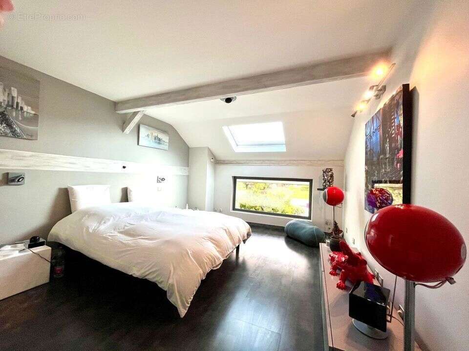 Maison 407 m² à Arthaz-Pont-Notre-Dame  - photo 17