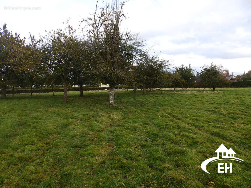 Terrain à LA FERTE-FRENEL