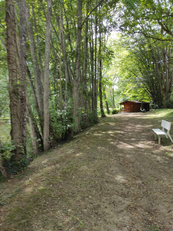 Savigny-en-sancerre propriete avec etang - photo 15