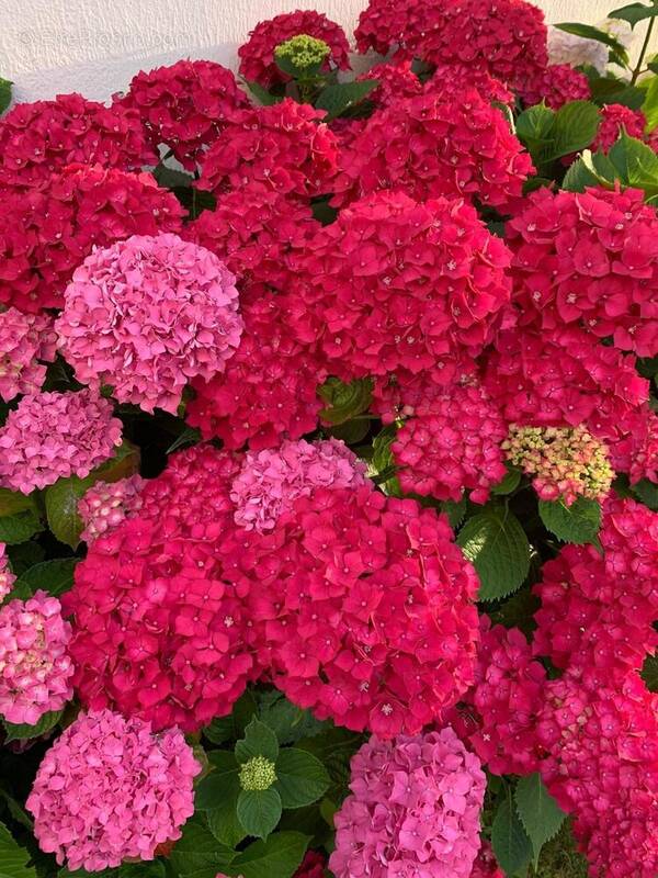 Autre à LIVRY-GARGAN