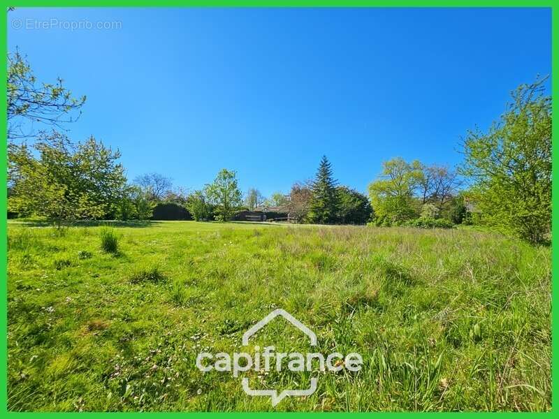 Terrain à BUXEROLLES