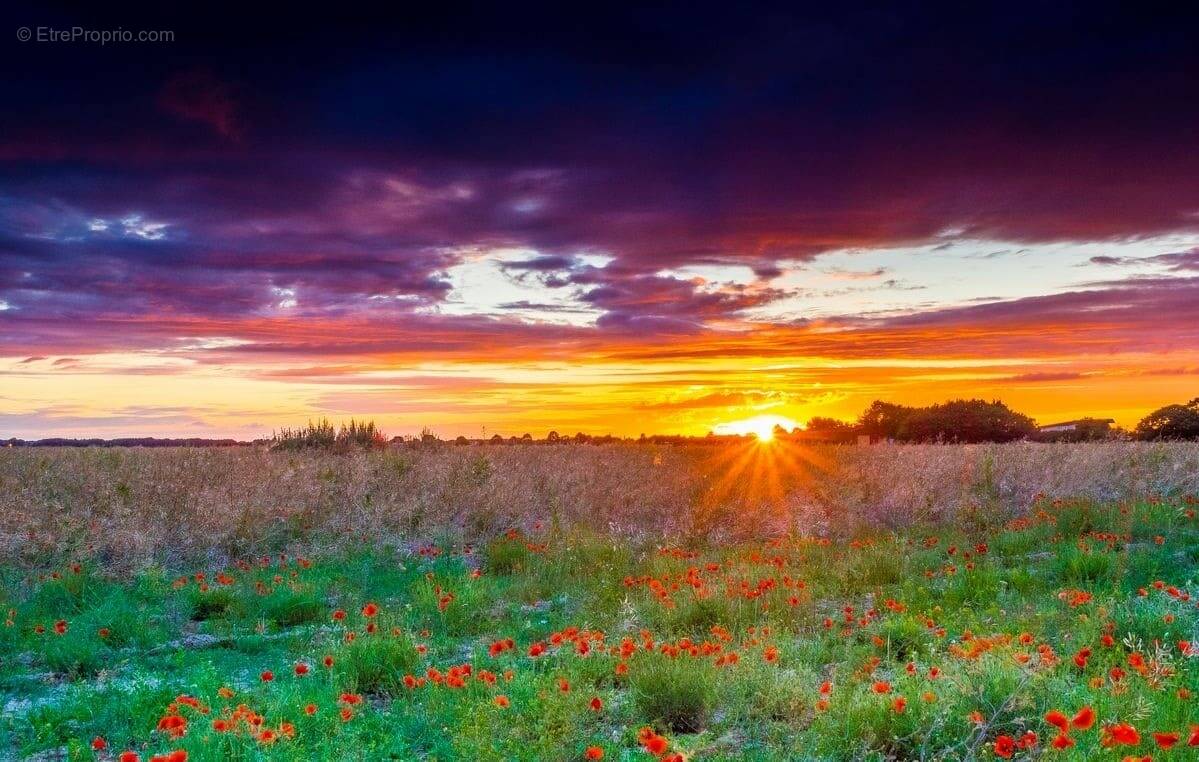 Terrain à SAINTE-MAURE-DE-TOURAINE
