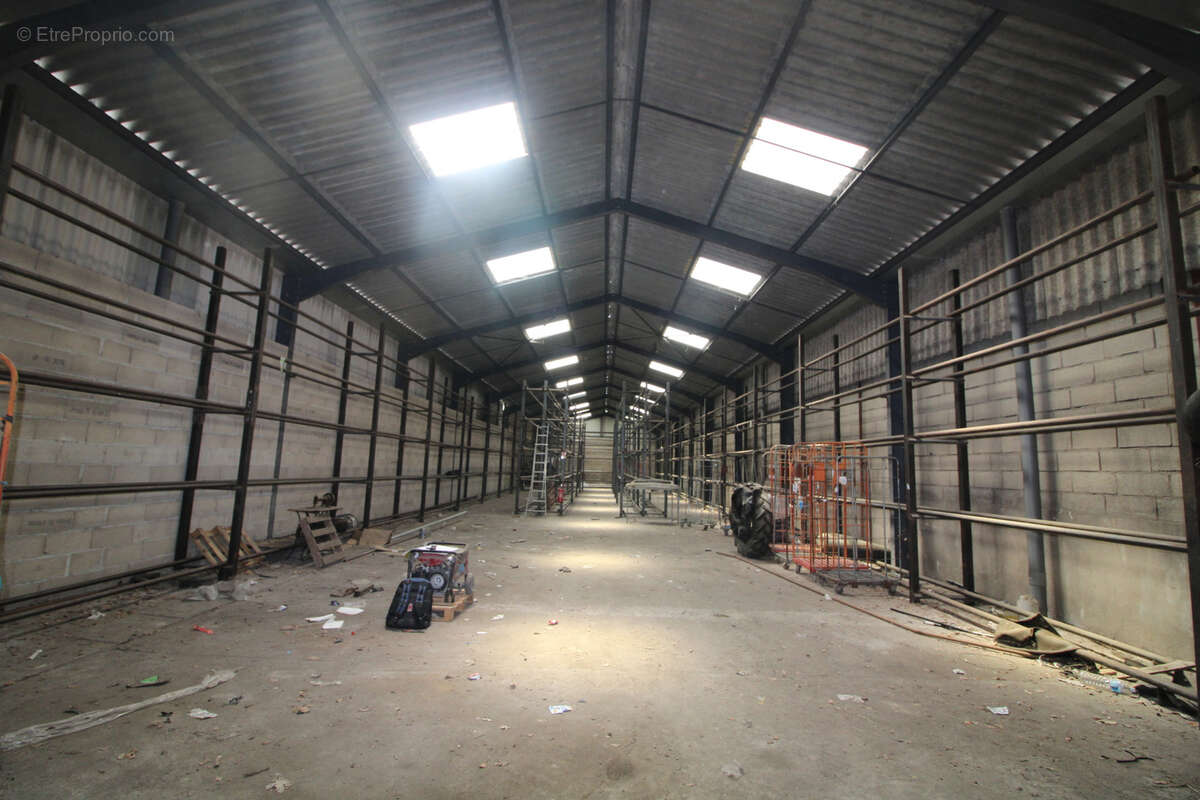 LOCAUX COMMERCIAUX DE 1750 M2 sur terrain de 3700 m2. - photo 4
