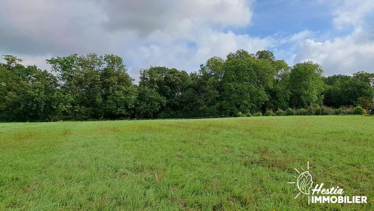 Terrain à VATRY