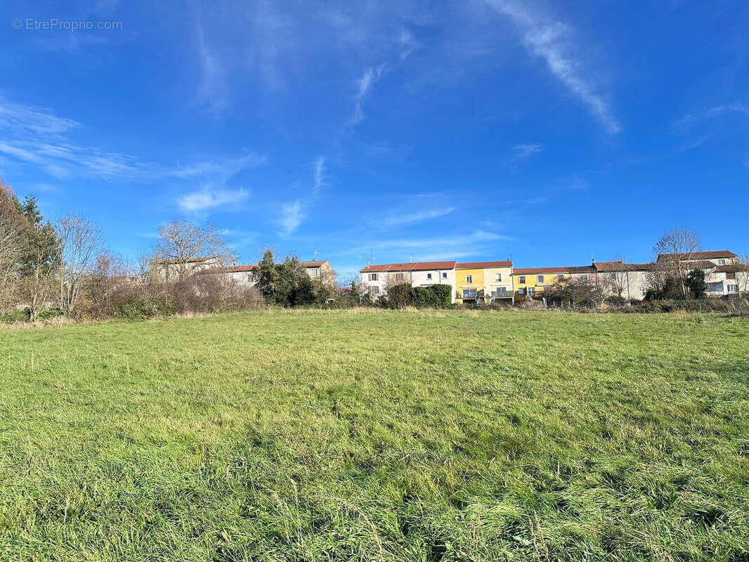 Terrain 5503 m² à Neulise  - photo 2