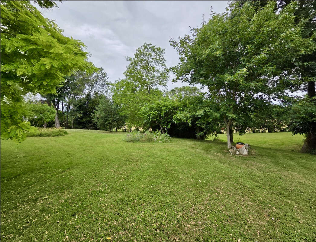 Authentique longère en pierre de 123 m2 avec parc arboré et studio indépendant - photo 28