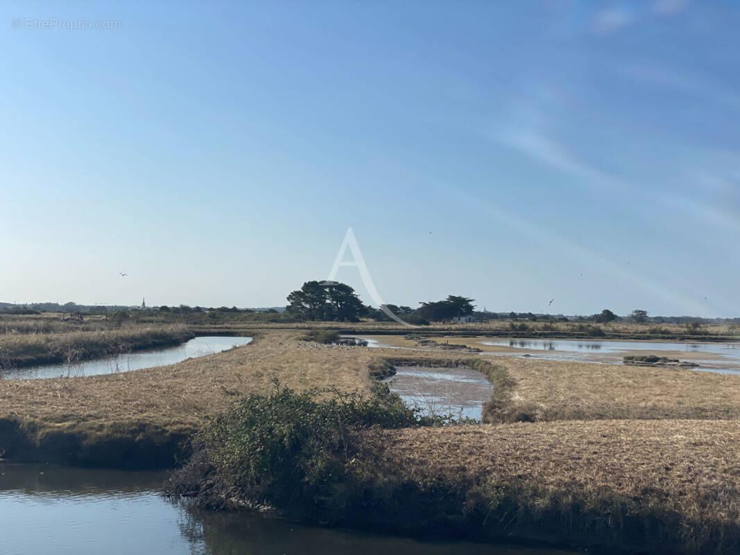 Terrain à LES SABLES-D&#039;OLONNE