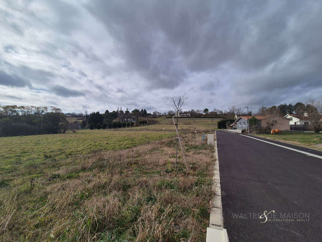 Terrain à RABASTENS