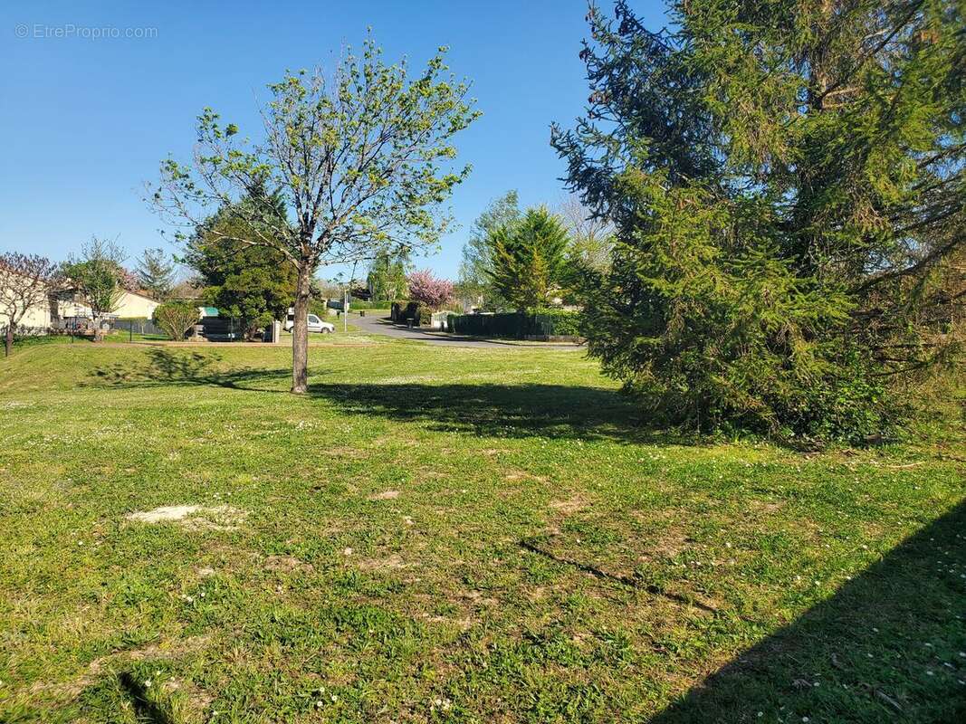 Terrain à CHAMPNIERS