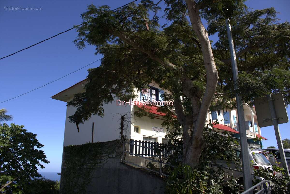 Commerce à LES AVIRONS