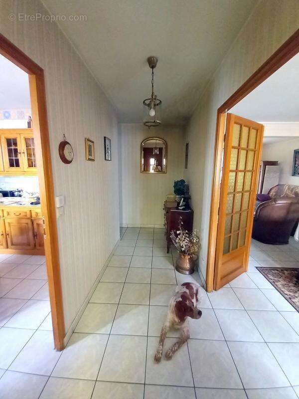 Maison plain-pied - 95m²-  AMBRIERES LES VALLEES (53) - photo 2