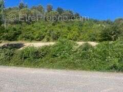Beau Terrain hauteur  de Limoux - photo 11