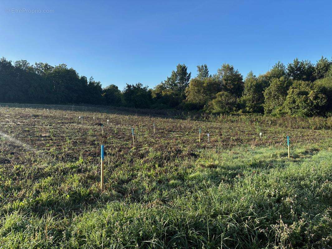 Terrain à ANGOULEME