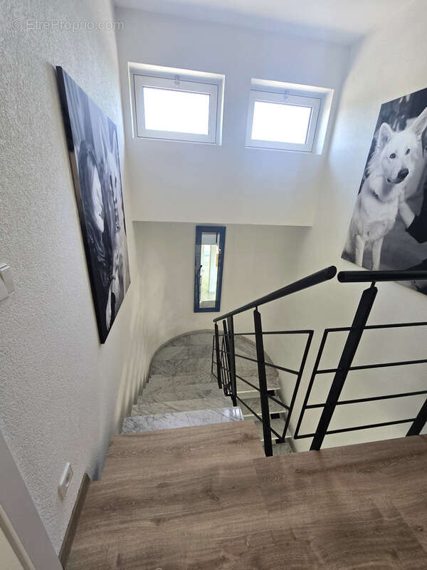 Maison/Villa d'architecte 5/6 pièces, 222 m2 - photo 15